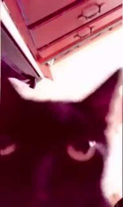 i have to write a paper within 2 hours at 9pm&earlier i overate cuz stress & also had to put up with being around Fred who is very buzzed after seeing his girlfriend. he takes it personal if you dont just play along. it sucks becoming a broke adul