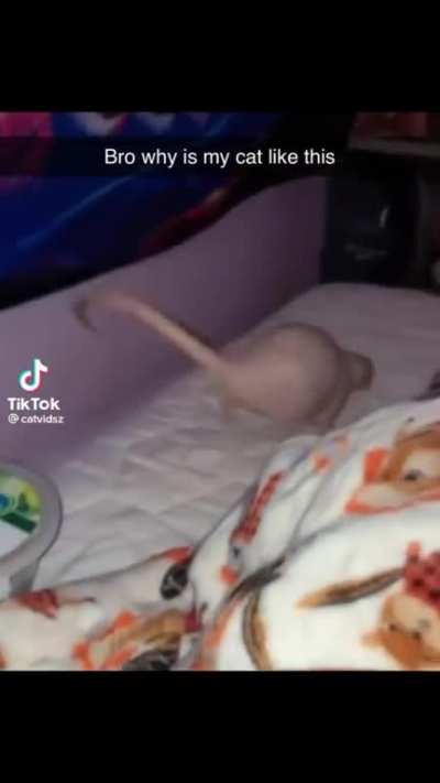 MarMar__ - Video #0498