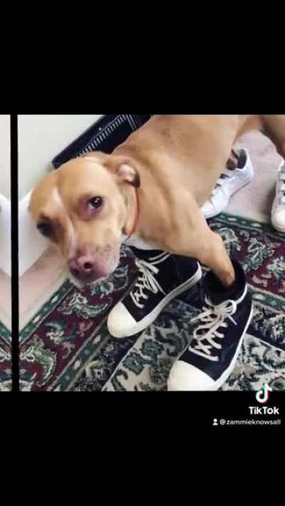 You already KNOW I had to sample this!