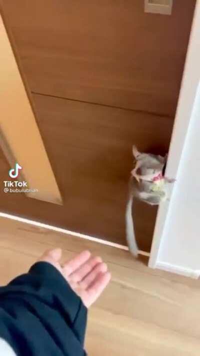 Dylan no seas malo míralo entero 😂😂😂😂