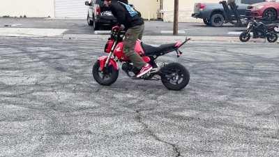 Taking the sub to the gayest limit possible