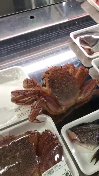 LIKE NEO BREAKING FREE OF THE MATRIX, IM OUTTA THIS MOTHERFUCKER! LOL!