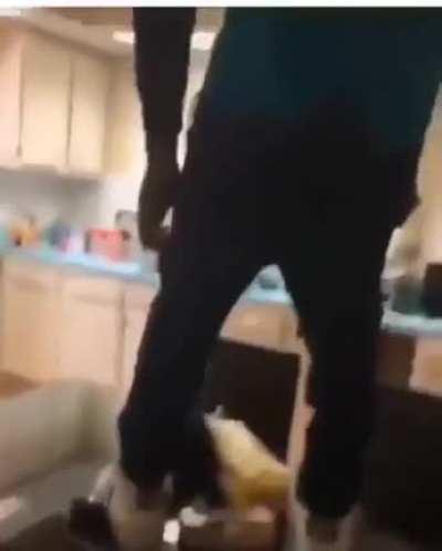 Dog is a 'little bit' aggrasive