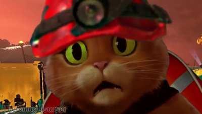 First time Fighting Cohozuna