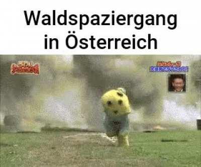 Waldspaziergang in Österreich