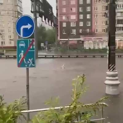 When you street is one big open pool