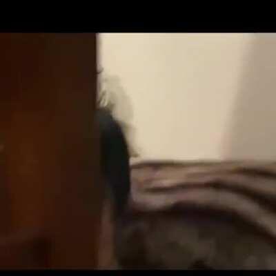 My dad just sent me this