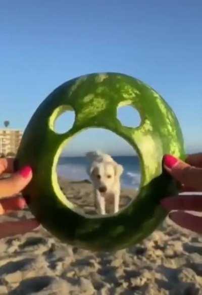 Someone is ready for Halloween