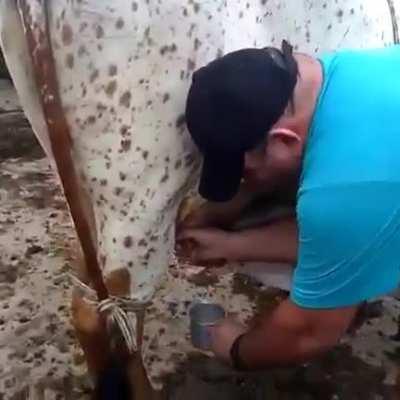 Isso explica muita coisa!