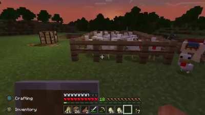 Is getting four chicks from one egg rare?!