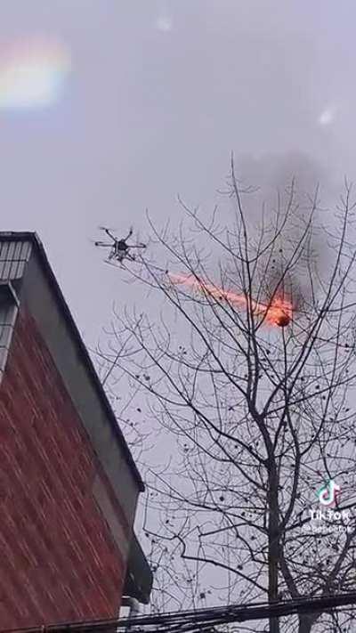 Flamethrower drone taking out wasp nest