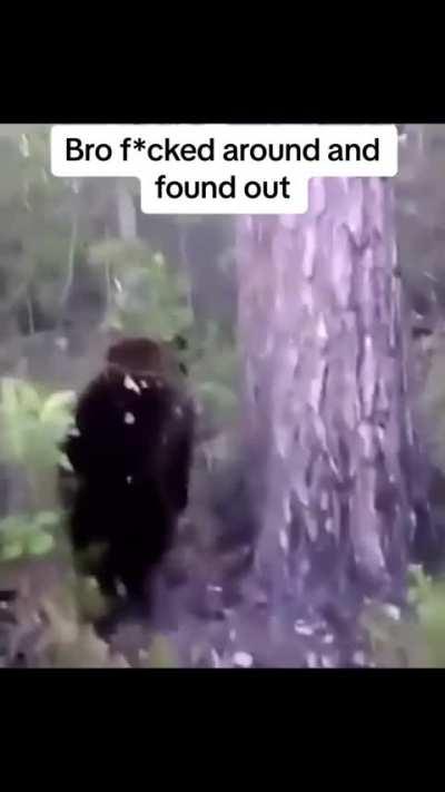 Thank god the bear had already eaten 