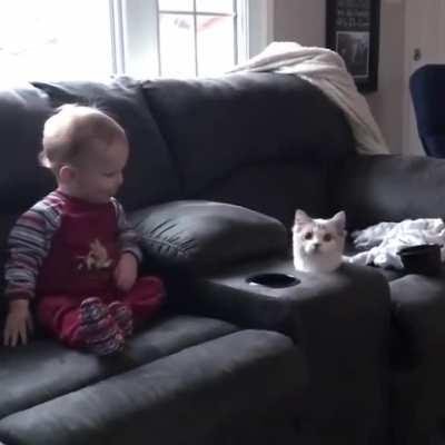 Did someone say tuna ?