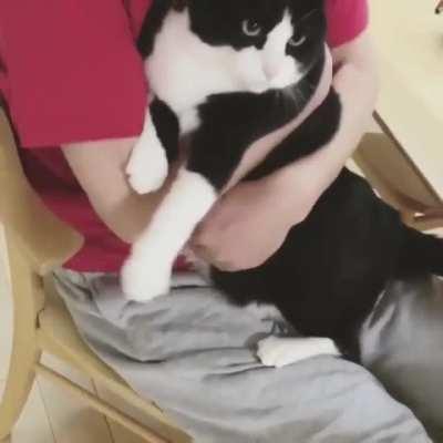 Soft hooman, warm hooman