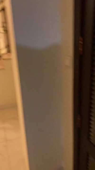 New Year's adventure !