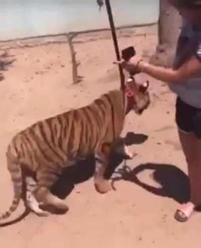 ¡Sinaloa no te acabes!