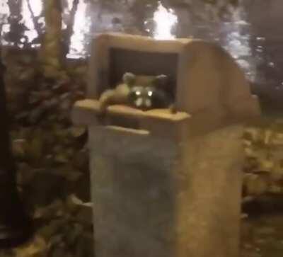 Вы кто такие? Я вас не звал. Идите нахуй