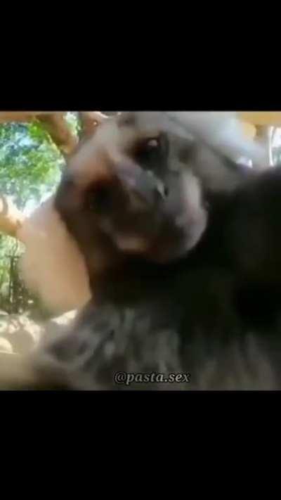 The only kind of true love.