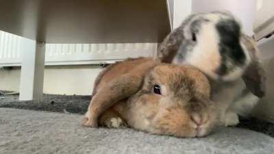 Some privacy pls mom🙄