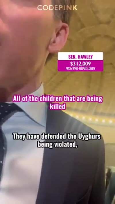 Senator Josh Hawley going all out against Code Pink for sake of foreign country