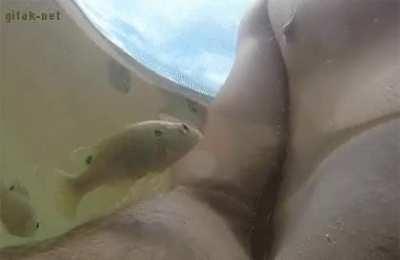 No contract too large