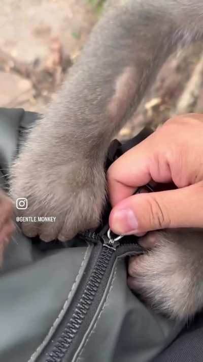 just let me see what’s inside