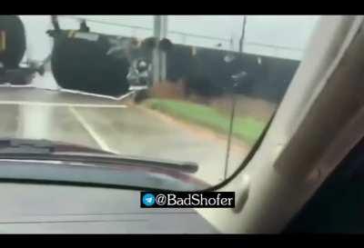 Bitch, rub my tummy!