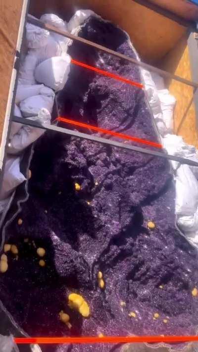 Purple amethyst geode