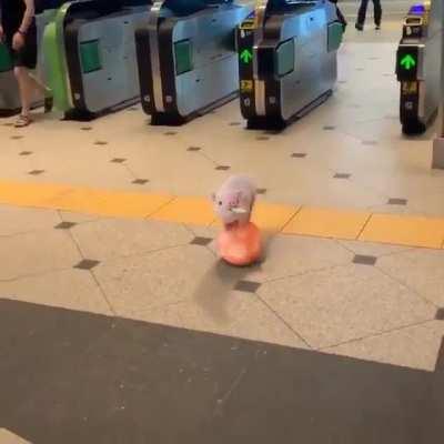 We wish you a happy flight