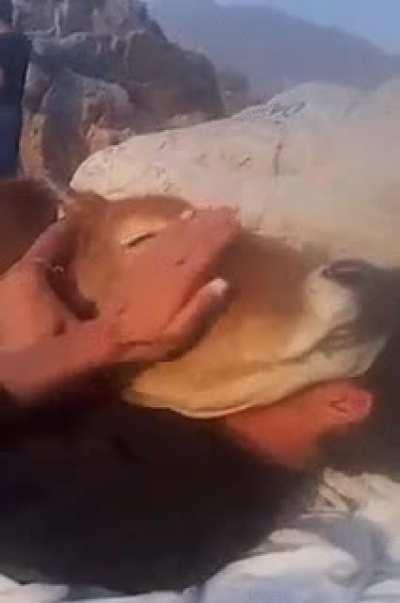 I sit? No? Ok, I sit.