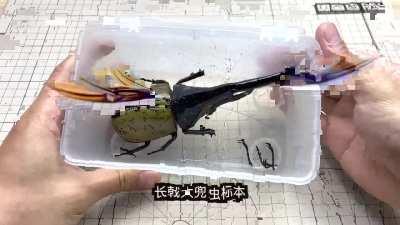 When the Mechanicus gets their hands on a Tyranid sample.