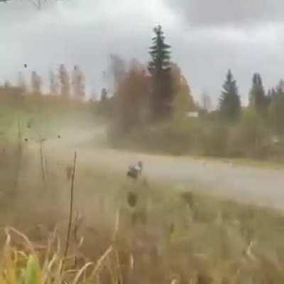 MadeMeSmile the way the spectators got excited :)