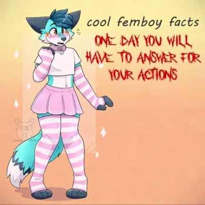 coool femboy facts