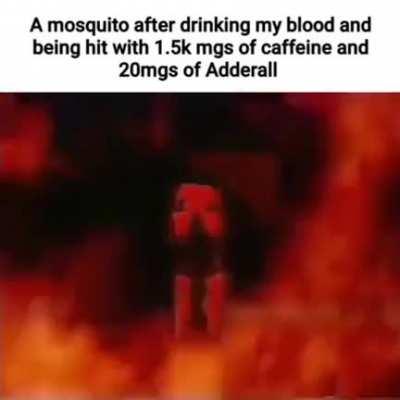 pov you drink xqc's blood