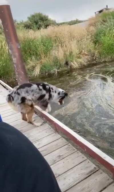 WCGW if I assume the area is ground?