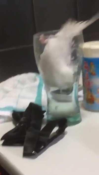 Getting a drink of water