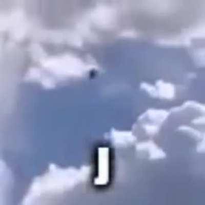 how horse fly pls pls explaib!!!!!!!!!!