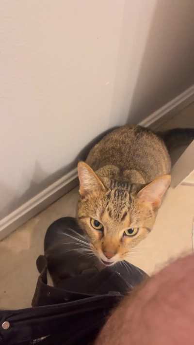 Gracie’s new obsession