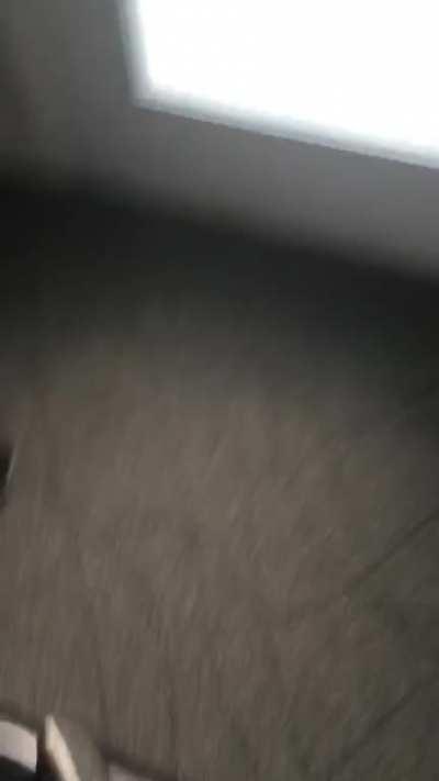 Perfect reaction to rain