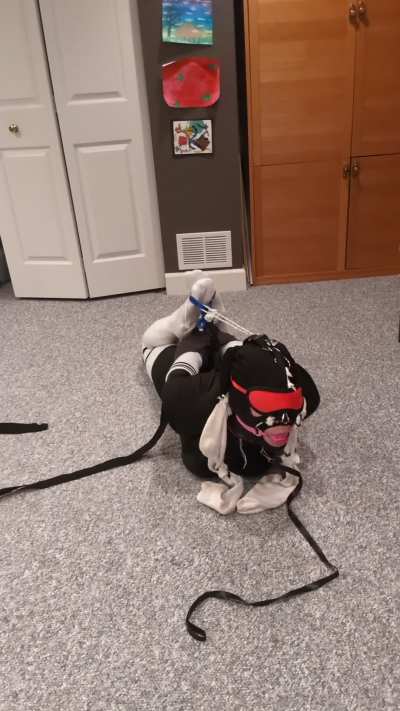 Ball Gagged hogtie selfbondage