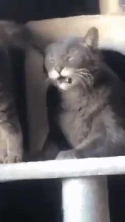 you can tell by the face