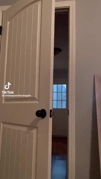 Blatant nudity on TikTok evading their moderation