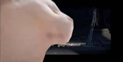 Cat vibin to Jedi Temple March