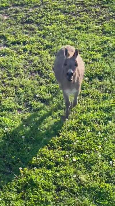 He’s just trying to make friends 😭