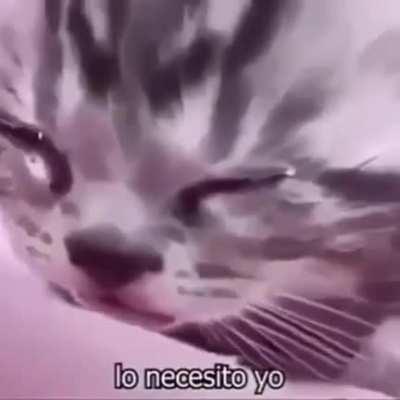 It’s all real sad boy hours again