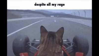 I am still just a cat in a race (homemade. song is Arbormyth by Jam2Go)