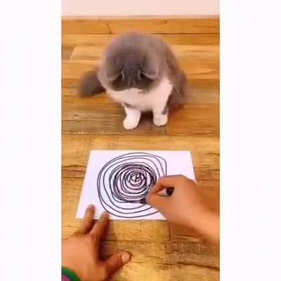 The room is spinning now...