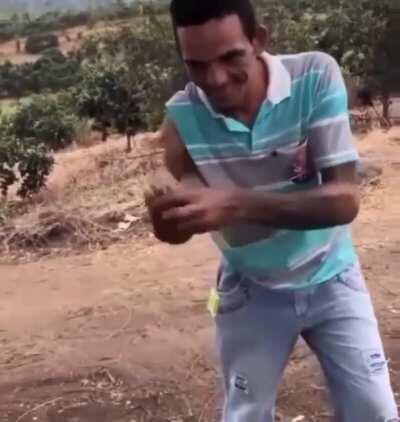 Ok I'll go, you've twisted my arm