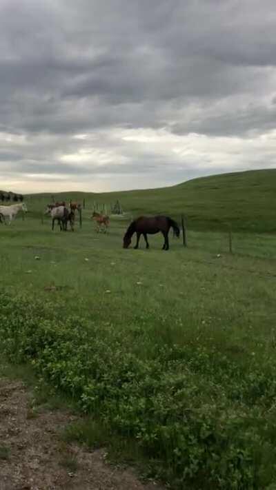 I found heaven on earth