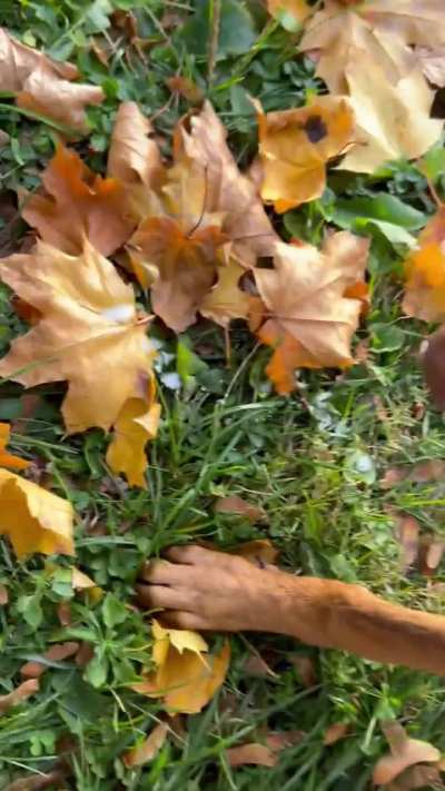 What’s wrong with him?